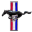 7173mustangs.com logo