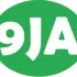 9jaflaver.com logo