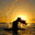 alluringartprints.com logo
