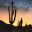 arizonawebservices.com logo