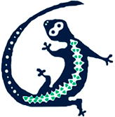 arraialecoparque.com.br logo