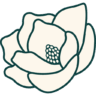 asouthernsoul.com logo