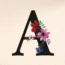 asyalog.com logo