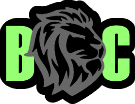 bichocerto.com logo