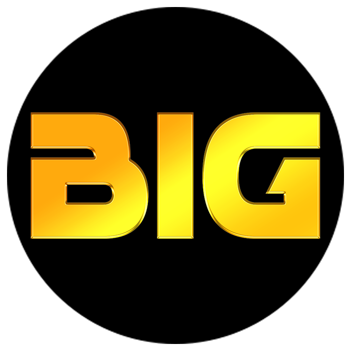 bighokigood.live logo