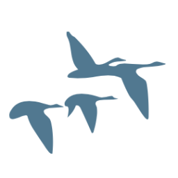 bjurfors.se logo