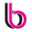 blingbag.co.in logo