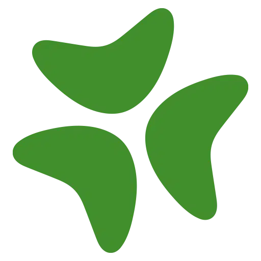 bloomerang.com logo
