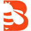 bradyindustries.com logo