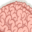 brainz.org logo