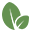 branchcms.com logo