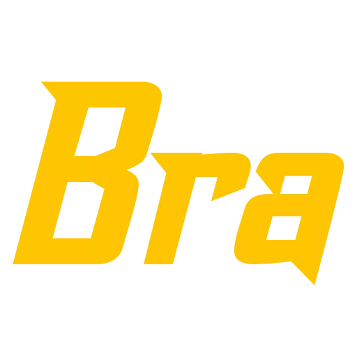 brapin.com logo