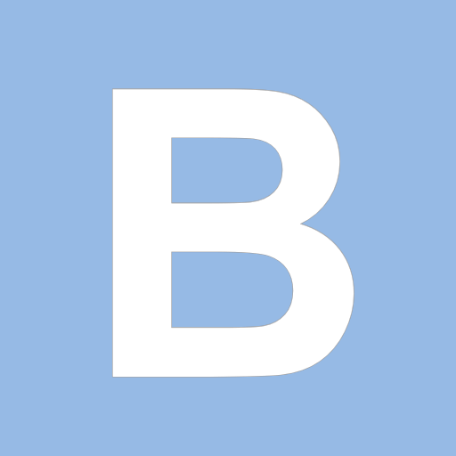 briian.com logo