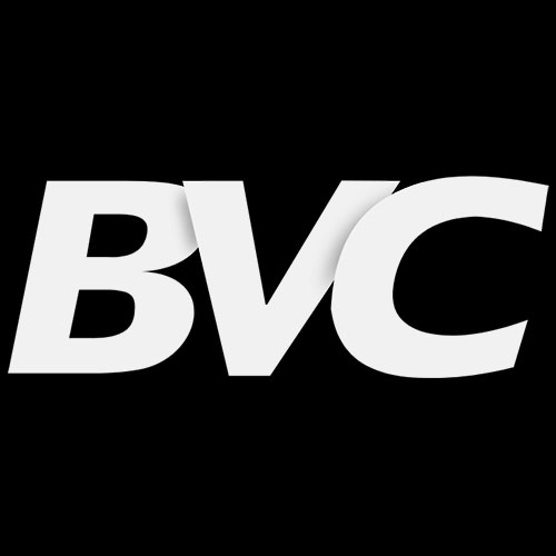 bvconline.com.ar logo