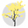 caeddigital.net logo