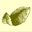 casapia.com logo