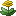 casimages.com logo
