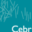 cebr.com logo