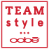 cfateamstyle.com logo