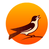 chernogolovka.com logo