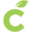 citrichosting.info logo