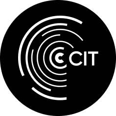 citrt.ru logo