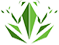 clickfrog.ru logo