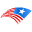 conservativevalor.com logo
