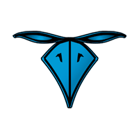 corvusbelli.com logo