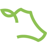 cowmed.com.br logo
