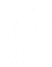 d2armorpicker.com logo