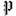 dailyprogress.com logo