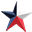 dallascounty.org logo
