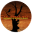 deadwoodjedi.com logo