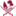 dhareeba.gov.qa logo