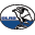 dlrg.net logo