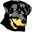 dogbitelaw.com logo