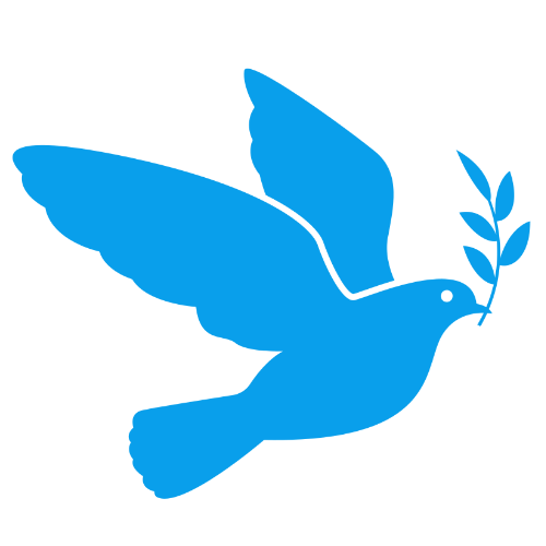 dost.ws logo