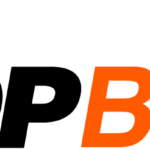 dpbossbid.online logo
