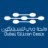 dso.ae logo