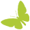 dvflora.com logo