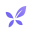 dxy.com logo