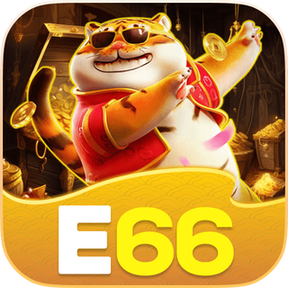 e66006.com logo