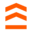 epiccarry.com logo