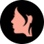fangsung.com logo