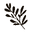fermentingforfoodies.com logo