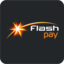 flash-pay.online logo