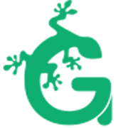 geckocustom.com logo