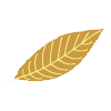 getkapp.de logo