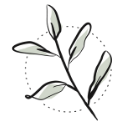 green-bubble.com logo